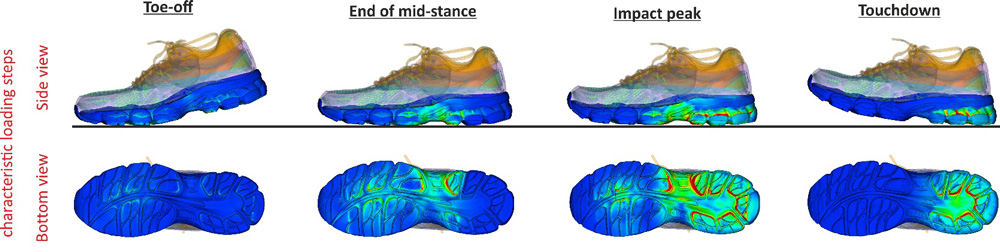 Sports Medicine & Biomechanics